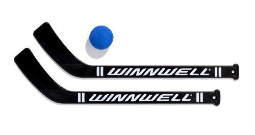 Набор для тренировок "Winnwell" (W / PVC mini net & target set28", 2 sticks, ball & carry case)
